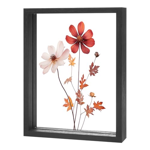 M METERXITY Pressed Flower Frame 6 x 8 Inchch Wooden Acrylic, Black
