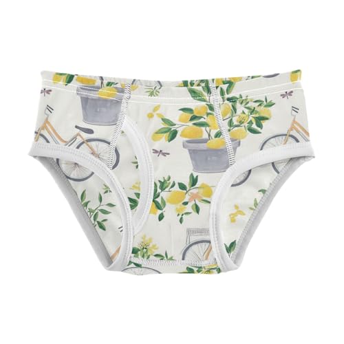 Wusikd Gray Bicycles Boys' Underwear Cotton Lemon Trees Boys Briefs Soft Toddler Underwear 2T