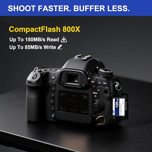 Image of Dogfish Compact Flash Memory Card 128GB 800X CF Cards for Vintage Digital Camera
