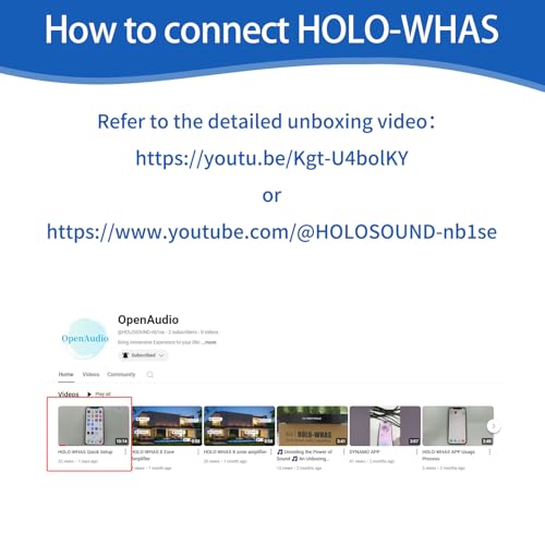 Holo-Whas 8 Zone Multi-Room Amplifier thumb #8