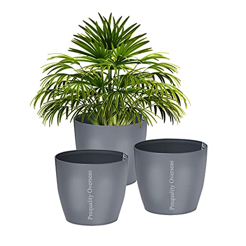 Image of Heavy Duty Plastic Maruti Jade Planter Pots with Indoor Self Watering Hanging Planter Pot Indoor Outdoor Garden Balcony Flowering Pot Gamla 5 Inches (Grey Pack of 3)