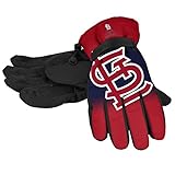 Forever Collectibles MLB St. Louis Cardinals Insulated Gradient Big Logo Gloves, Team Colors, Large/X-Large