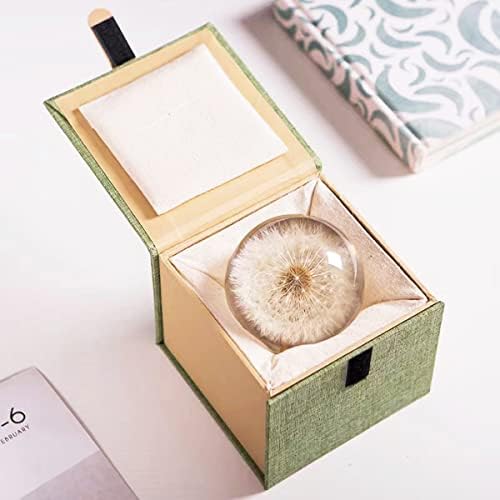 DESHINTKE Real Dandelion Specimen Ball Paperweight Desktop Decor Decoration (X-Large)
