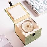 DESHINTKE Real Dandelion Specimen Ball Paperweight Desktop Decor Decoration (X-Large)
