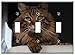 Switch Plate Triple Toggle - Cat Cute Cat Cat Face Animal Cat Eyes Pet