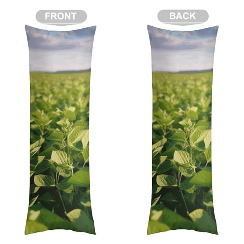 Housses de coussin polyester imprimé champ de soja 50,8 x 127 cm douces