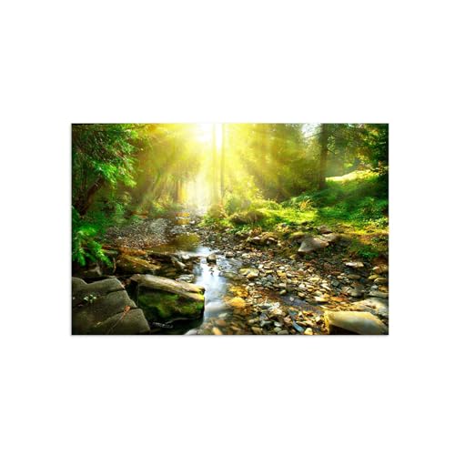 Tableau Imprimé sur Toile DEEBOW pour illuminer un salon sombre paysage de rivière