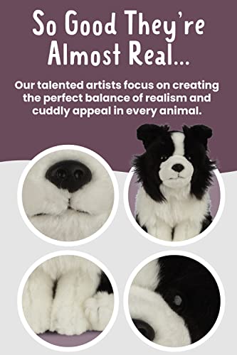 Living Nature Soft Toy - Stofftier Border Collie (20cm), Unbekannt