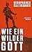 Produktbild Wie ein wilder Gott: Roman