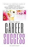  Vibrational Energy for a little unfair Career Success (English Edition)