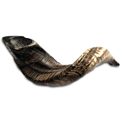 Shofar (Ram's Horn)