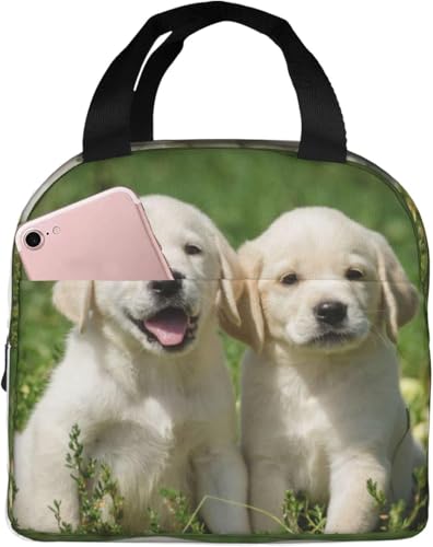 uh[Eg[o[ q ۗ⃉`obO ٓ 킢 e ܂ y RpNg fMA~V[g |Pbgt g[gobN