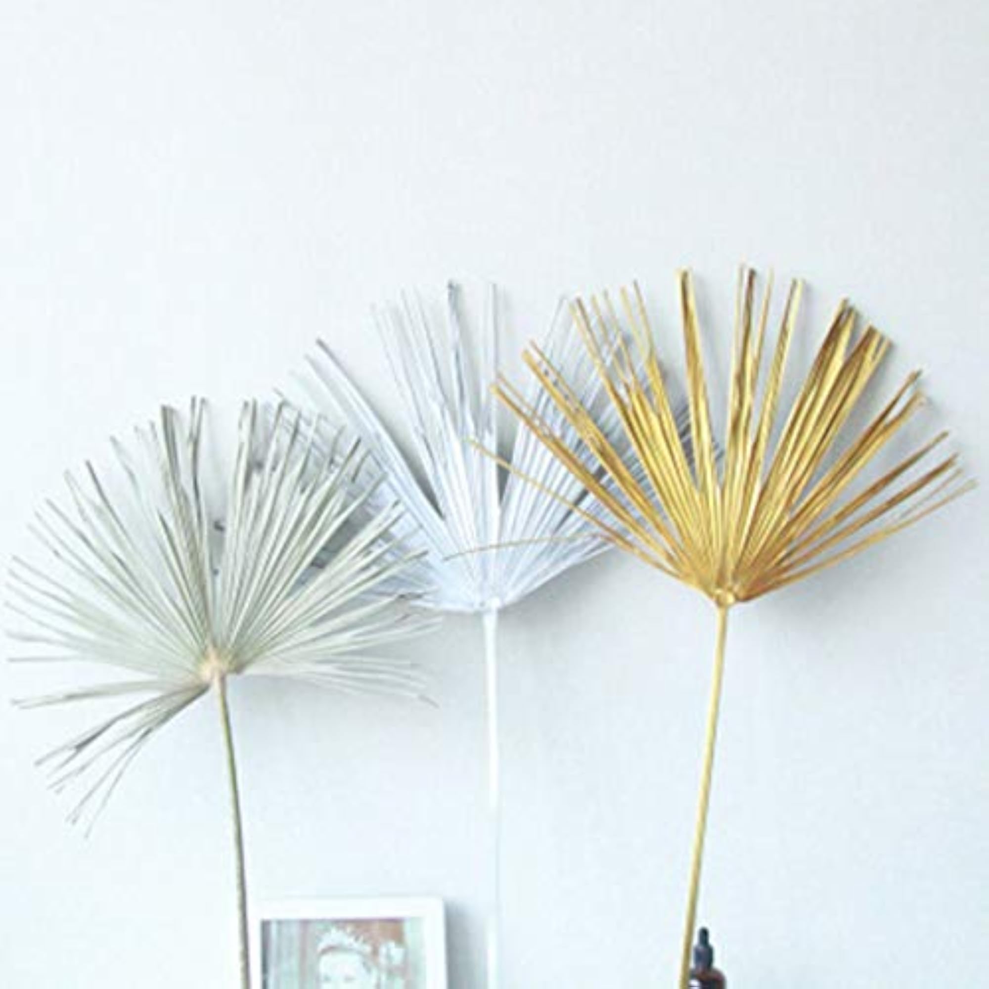Creative Preserved Palma Leaf Flower Gift