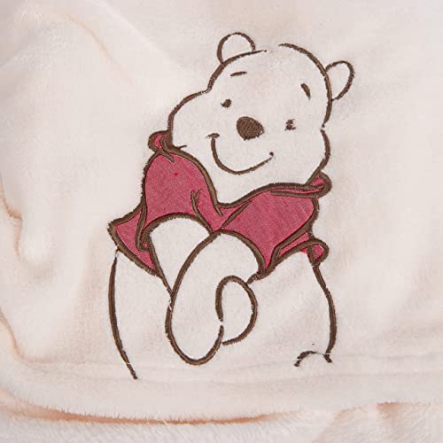 Plush Baby Blanket Super-Soft For Boys And Girls, Gifts For Kids Embroidered Fleece Baby Blanket, Portable Bed Throws For Baby Crib And Toddler Bed, 30”X40”(Hi Winnie) #TOP2
