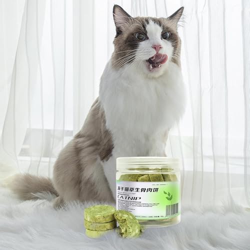 Biscoitos de grama de gato, palitos de grama de gato,Kitten mastigando lanches de biscoitos de alime