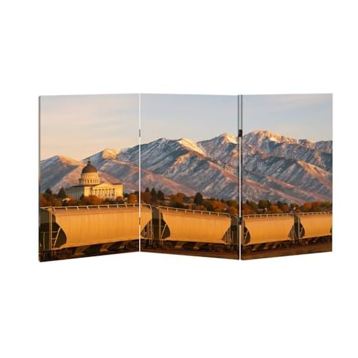 Stylish Portable Room Divider Folding Screen