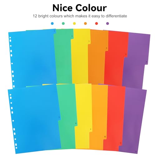 Intercalaires en plastique A4 Newthinking pour classeur de bureau - 5
