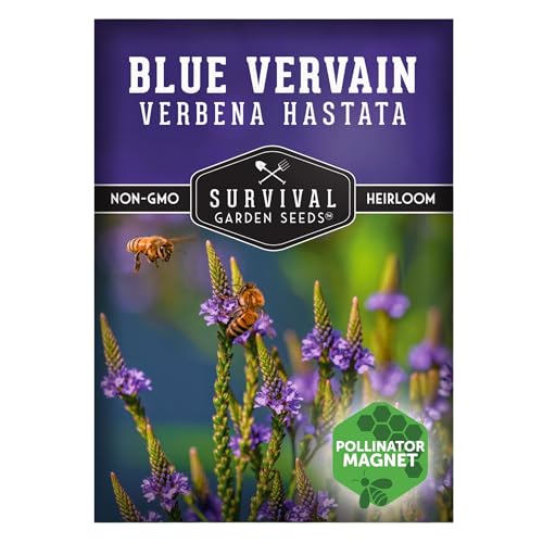 Survival Garden Seeds Blue Vervain Seeds for Planting (Verbena Hastata)