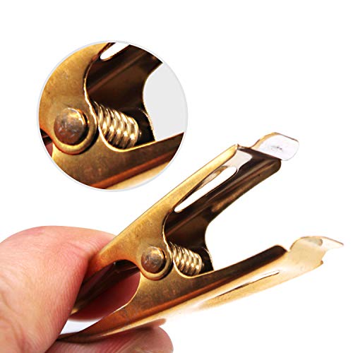 Aitrai Stainless Steel Clothespins-50 Pack Gold Clothespins Wire Metal Clothes Pins Laundry Clips For Outdoor Clothesline Home Kitchen Travel Office Decor Food Bag (Gold) #TOP2