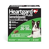 HEARTGARD® Plus (ivermectin/pyrantel) Real-Beef Chewables for Dogs 26-50 lbs (Green Box) 12 Month Supply of Chews (Heartworm Disease Preventive)