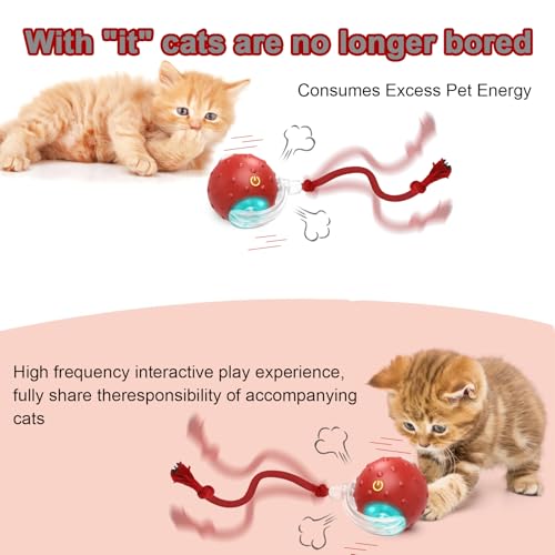 KQLHLHDYZ Interactive Cat Toy Ball Electric Automatic Toys for Indoor Cats with Birdsong Irregular Movement Cat Toys for Indoor Cats Adult All Floors & Carpet Available - Image 3
