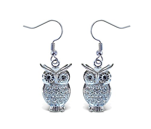 Puzzled Silver Owl Fish Hook Earrings - Fashionable and Elegant