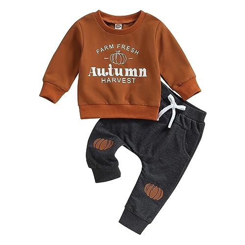 Toddler Baby Boy Girl Halloween Outfits Farm Sweatshirt Top Pumpkin Patch Pant Set Fall Autumn Clothes Autumn Farm 3-6 Months