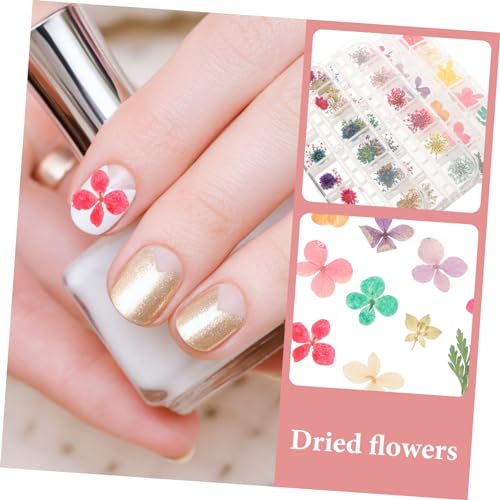 Kit de accesorios con flores secas para manualidades miniatura 3