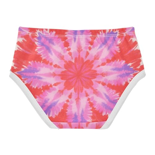 GuoChe Sport Panties All Seasons Panties Organic Underpants for Toddlers in Sizes 2T,3T, 4T, 5T, 6Y and 8Y2