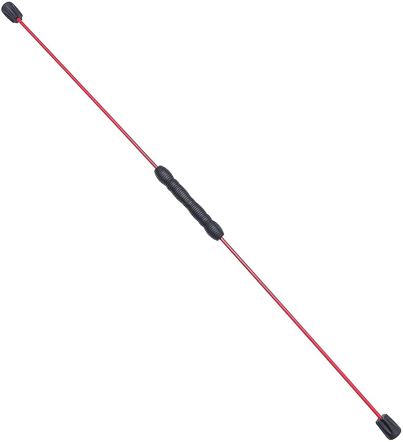 Asta elastica Bar fitness Asta elastica staccabile Barra fitness vibrante staccabile da 160 cm, asta elastica per aerobica per allenamento della forza, barra flessibile elastica per tremore, barra per