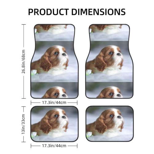 Alfombrillas de Vehículos para Evitar Resbalones con Diseño de Cavalier 2