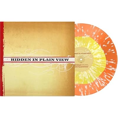 Hidden In Plain View