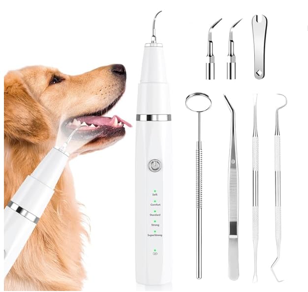 KT Dog Teeth Cleaning Kit for Small & Large Dogs – Complete Pet Dental Care Set with Enzymatic Toothpaste, Dual-Head & Finger Toothbrush – Plaque & Tartar Remover, Fresh Breath Oral Hygiene Solution