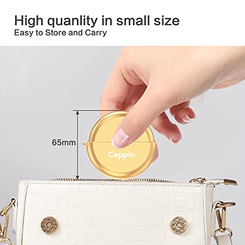 Ceppin Foundation Makeup Brush with Slide Protective Case, Makeup Face Brush Liquid Powder Foundation Brush for Blending Liquid, Cream or Flawless Powder Cosmetics(Golden)