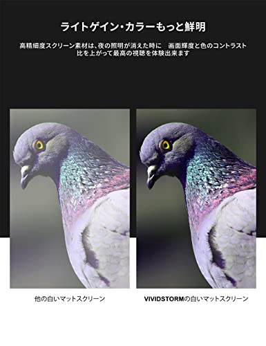 プロジェクター スクリーン VIVIDSTORM ホームシアター 110インチ 長焦点 ブラックボーダー無し 4K 8K 3D UHD 電動 床置き 視野角160 投射スクリーン サウンド穴付き 投影用 会議 教室 屋内 映画 ムービーシアター シワなし ホワイト材質ーVWSDSTPWA110H