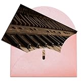 Célébration polyvalente : parfaites pour une myriade d'occasions, nos cartes vierges sophistiquées sont idéales pour les fêtes prénuptiales, les fêtes, les fiançailles, les mariages, les remises de diplômes, les anniversaires, les vacances, les communications d'affaires, et plus encore.