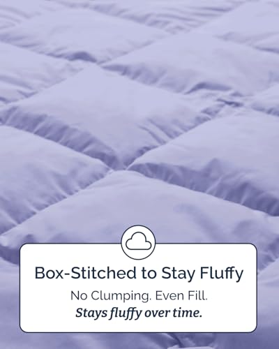 Image of Twin Size, Lavender Alternative Down Comforter - Warm, Lightweight & Breathable Hotel Quality Bedding Set for Men, Women, Kids & Teens - All Season Oversized Cooling Microfiber Duvet Insert Comforter