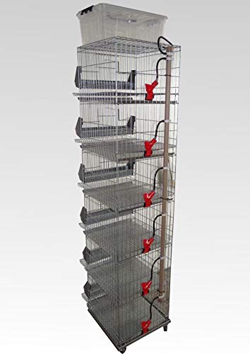 Bateria de 6 gaiolas para codorna