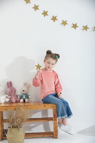 Mioglrie Toddler Baby Girl Clothes 2T 3T 4T Girl Clothes 12 18 24 Months Fall Winter Outfits Sweatshirts Jeans Set2