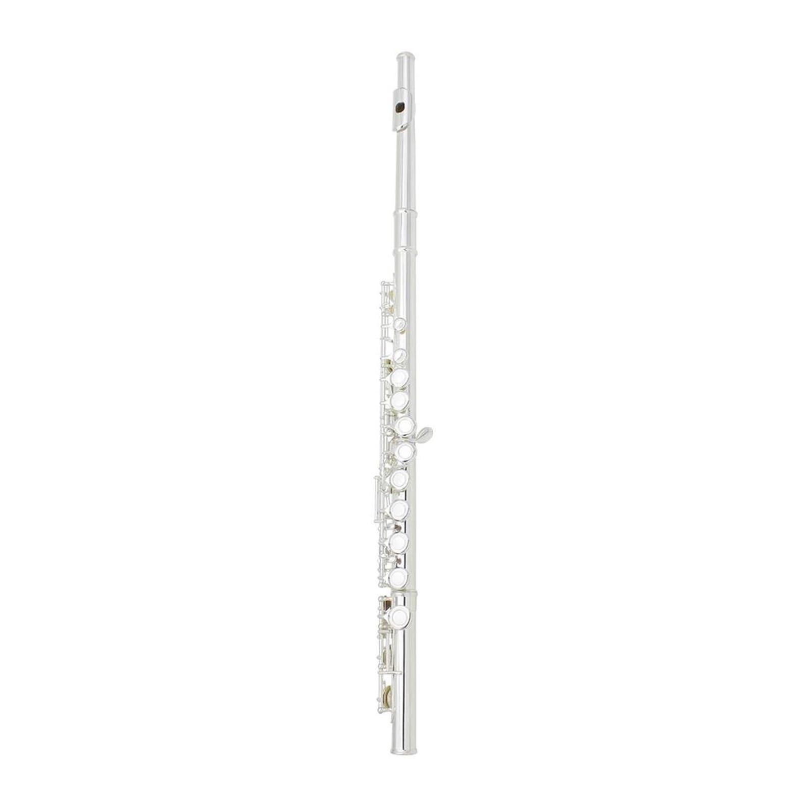 Flauto Traverso Professionale In Do A 16 Fori Placcato Argento Con Scatola E Guanti Flauto Standard