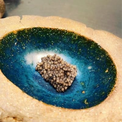 (神戸 薪焼き スペイン料理) bb9 伊仙町 ディナーペア食事券 ワインペアリング付き