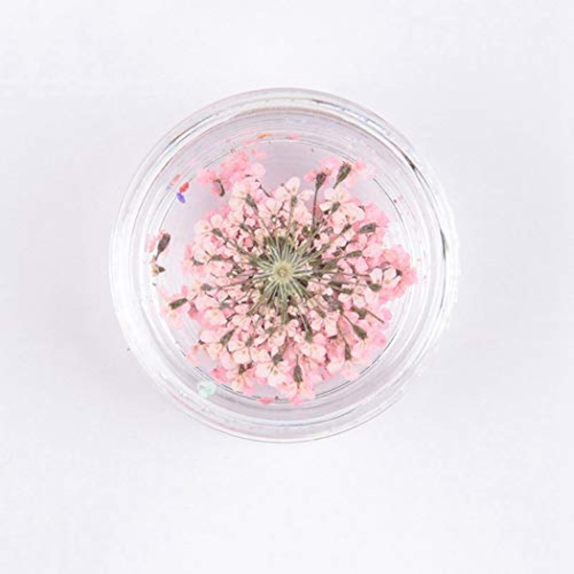 Pressed Flowers Multifunctional Craft Materials