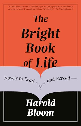 The Bright Book Of Life: Novels To Read And Reread
