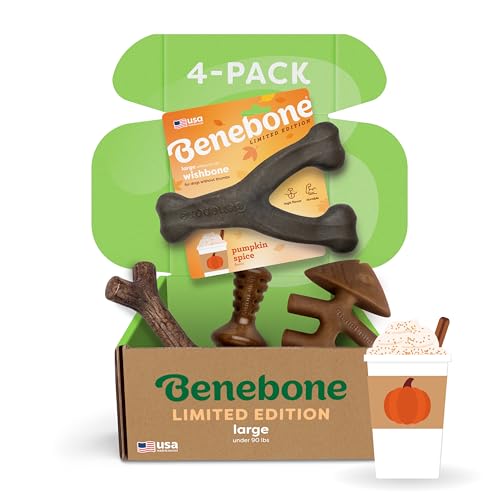 Image of Benebone Limited Edition Large 4 Pack with Pumpkin Wishbone, Dog Chew Toys for Aggressive Chewers, Made in USA, 90 lbs and Under