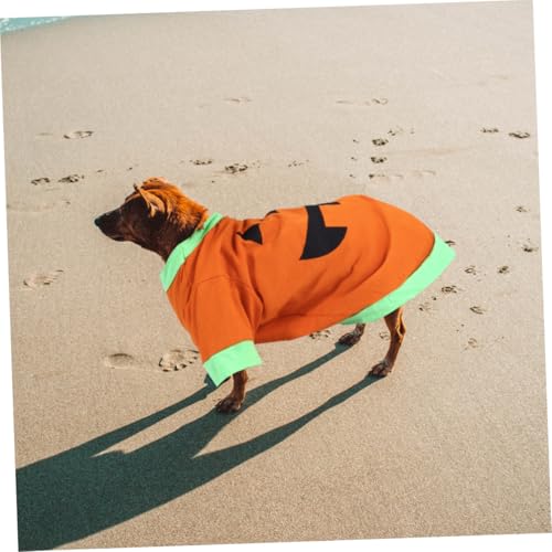 Disfraz Halloween Calabaza para Perro Talla M miniatura 5