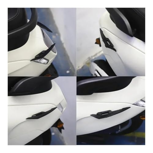 Carénage décoratif pour 250SR avec finition haut de gamme de spoiler - 5