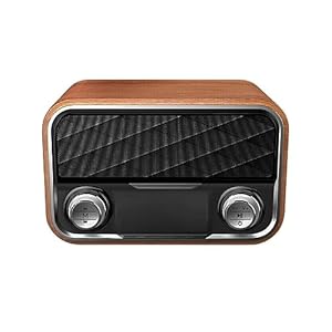 XNNSY Traditional Wooden Speaker 5.0
