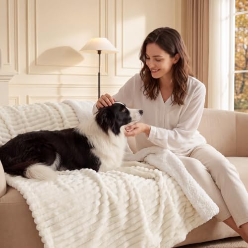 Image of BEDELITE Soft Sherpa Twin Blanket for Couch, Fluffy Gift, Cream, 60x80
