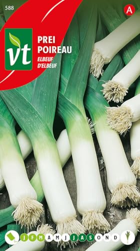 Poireau d'Elbeuf Graines - Qualités nutritives et culinaires