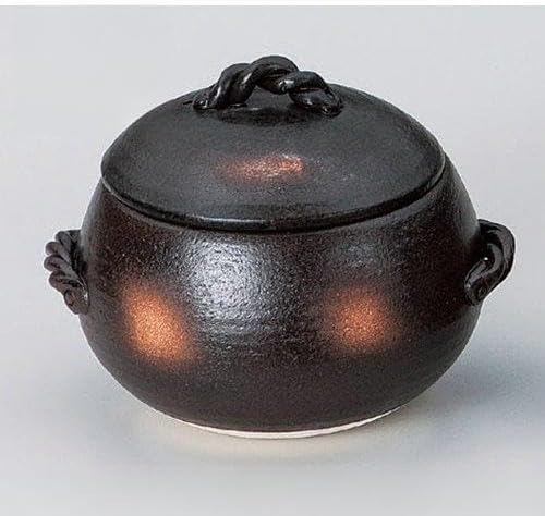 2026年最新】Yahoo!オークション -法螺貝 楽器の中古品・新品・未使用